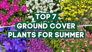 7 Ground Cover Plants That Bloom All Summer ☀️✨// PlantDo Home & Garden