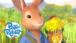 #Spring 🌼  Peter Rabbit - Adventures in Spring | Tales of the Week! | Cartoons for Kids