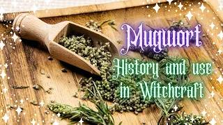 Mugwort in Witchcraft - Psychic Growth, Astral Projection