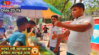 20 টাকায় মাছ ও অ্যাকুরিয়াম কিনুন | নয়াবাটি হাট ফুলবাড়ি গেট খুলনা | aquarium fish price in BD