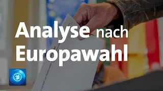 Europa hat gewählt - Analysen und Hintergründe zur Europawahl 2019