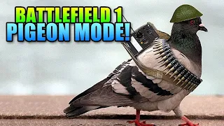 Battlefield 1: Pigeon Mode is actually fun ! (2021)