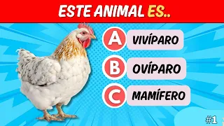 20 PREGUNTAS DE PRIMARIA🎓🧠✅| ¿Cuánto Sabes? | Con Opciones |