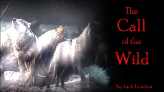 Call of the Wild | FULL AUDIOBOOK | Classic Novel by Jack London