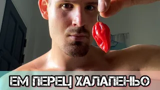 ЕМ ПЕРЕЦ ХАЛАПЕНЬО ❗️🥹🌶️🔥