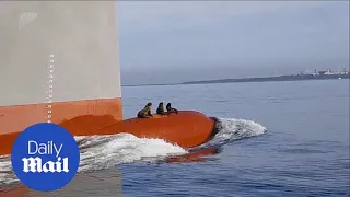 Three clever seals hitch a ride on the bow of a huge ship