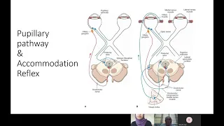 Lecture 1  McLeod Physical Examination Part II