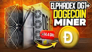 The Best DOGECOIN Miner you can Buy! ElphaPex DG1+ Miner