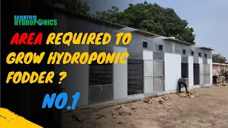 Area required to grow hydroponic fodder ? hydroponic fodder System | ashwin sawant