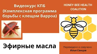 Как лечить пчел от клеща Варроа препаратами на основе эфирных масел? Апигард, АпилайфВар и Таймовар.