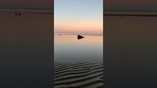 The Beautiful Chesapeake Bay Maryland/ Premier Fossil Hunting Cliffs of Calvert