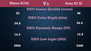 Nikon D750 Vs Sony A7 II - Comparison, Specifications, Price