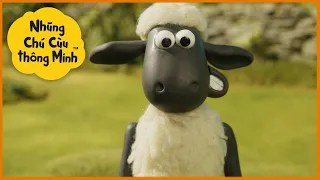 Những Chú Cừu Thông Minh 🐑 Shaun có một kế hoạch! Phần 3 Tập đầy đủ