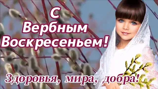 С Вербным Воскресеньем! Здоровья, мира, добра!