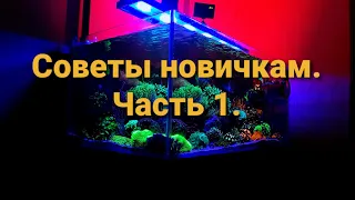 Советы новичкам. Часть 1.