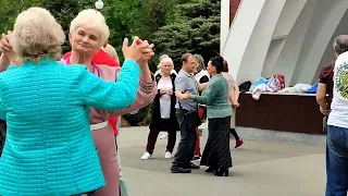 АХ, ТЮЛЬПАНЫ НЕЖНЫЕ ЦВЕТЫ! ТАНЦЫ В ХАРЬКОВЕ 2024 #retrodancing