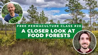 Free Permaculture Class #20 - Greg Noonan