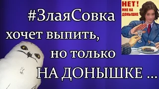 #ЗлаяСовка хочет выпить, но только на донышке (пародия на Диану Шурыгину).