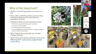 Pollinator Workshop #1