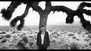 Vinyl of the Week - U2 - The Joshua Tree