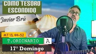 Como Tesoro Escondido - Javier Brú | 17° Domingo del T. Ordinario A (Mt 13, 44-52)