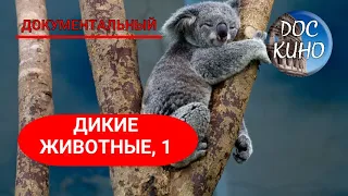 🎭ДИКИЕ ЖИВОТНЫЕ. СЕРИИ 1 - 4🌎 ДОКУМЕНТАЛЬНОЕ КИНО 🎆 2014