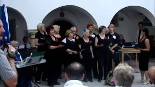 Velenjski grad Las Mananitas