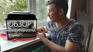 Аквариум для черепахи красноухой | Обзор акватеррариума