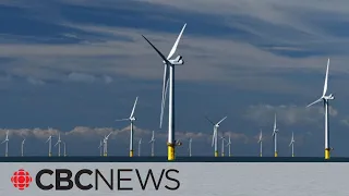 New report says Atlantic Canada could become offshore wind energy powerhouse