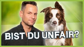 Unfaire Hundeerziehung: Worunter die meisten Hunde leiden!