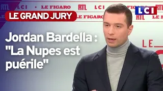 Retraites : "La Nupes est puérile", fustige Jordan Bardella