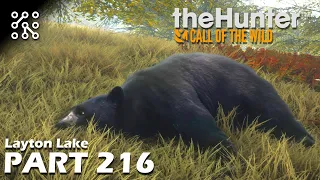 The Hunter: Call of the wild CZ | Jak se mě nedařilo střelit medvěda - #216 | Česky