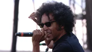 Alice In Chains Live at Sonisphere in 2014