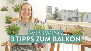 Balkon bepflanzen: Mit diesen 3 Tipps klappt’s!