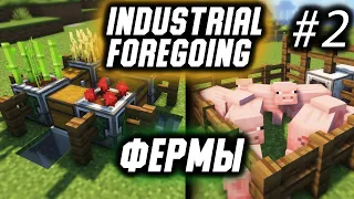 Гайд по Industrial Foregoing 1.16.5 #2 Фермы (minecraft java edition /майнкрафт джава)