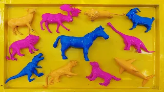 Washing Goat, Lion, Dinosaur, Tiger, Deer, Dog, Dinosaur, Dolphin, Goat, Zebra, Lion Toys by Hand