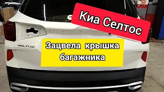 Киа Селтос - ЗАЦВЕЛА крышка багажника/KIA SELTOS 2020 - гарантийный ремонт?