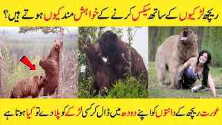 Amazing And Interesting Facts Of Bear In Urdu and Hindi