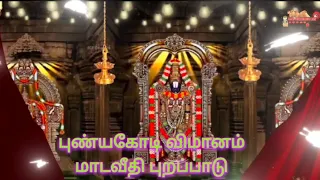 அருள்மிகு சுந்தர வரதராஜப் பெருமாள் திருக்கோவில், 28.05.24  மாலை, புண்யகோடி விமானம் மாடவீதி புறப்பாடு