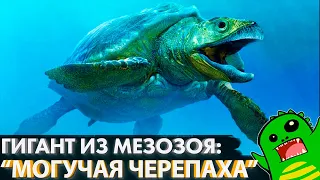 АРХЕЛОН - САМАЯ БОЛЬШАЯ ЧЕРЕПАХА за всю историю планеты