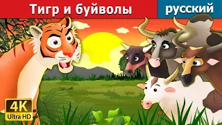 Тигр и буйволы | Tiger and Buffaloes in Russian  | русский сказки