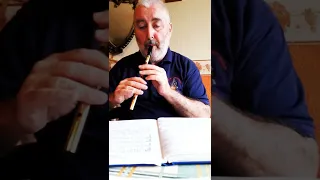 "The Road to Lisdoonvarna" an Irish Jig arranged for bagpipes  played on the Highland Whistle. 🙂