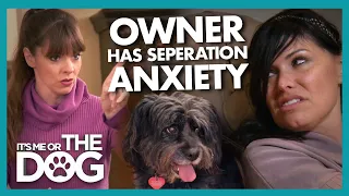 Owner has More Seperation Anxiety Than her Dog! | It's Me or The Dog