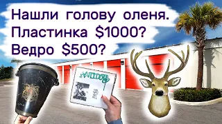 Нашли голову оленя. Ведро $500? Пластинка за $1000? Находки в брошенных складах.