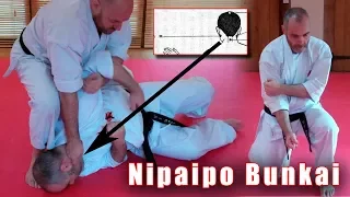 Practical Kata Bunkai: Nipaipo (dropping ippon ken sequence)