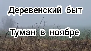 Туман в ноябре 💨 Деревенский быт 🏠