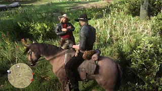 Things You Didn't Do in RDR2