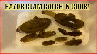 Fall Razor Clam Catch And Cook! (Washington State)