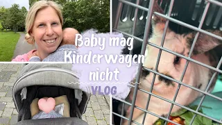 Baby weint im Kinderwagen | Frederik beim Tierarzt | Mamaalltag | VLOG