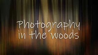 photography in the woods